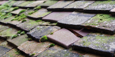 Tredunnock roof repair costs